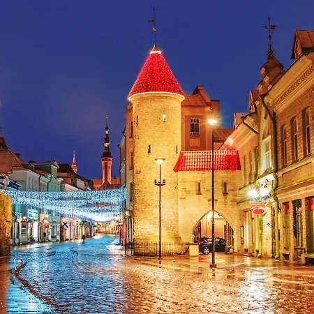 New Studio In The City Center Near Bus Station With Parking Apartamento Tallin